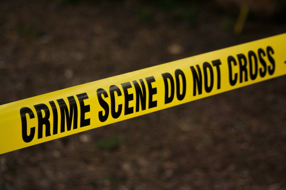 Fraud is a criminat offence