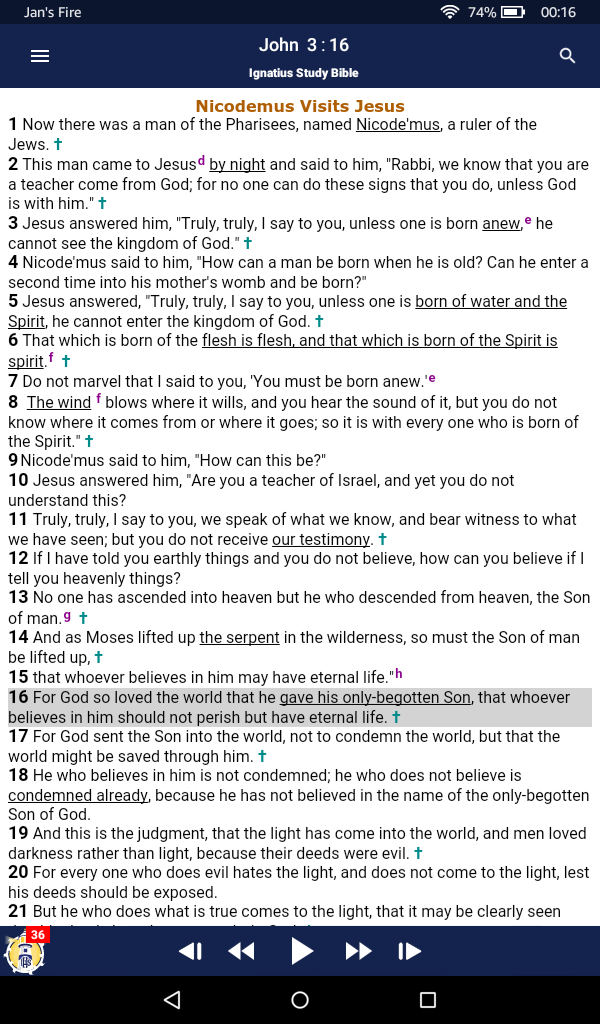 Catholic Study Bible App Reading View
